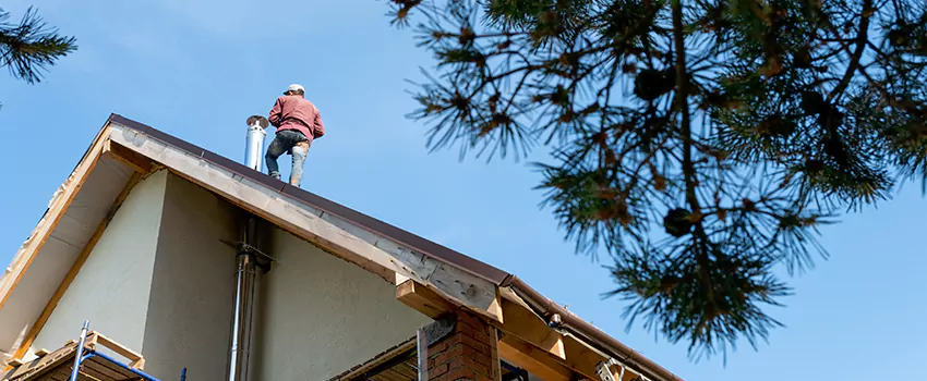 Birds Removal Contractors from Chimney in Marco Island, FL